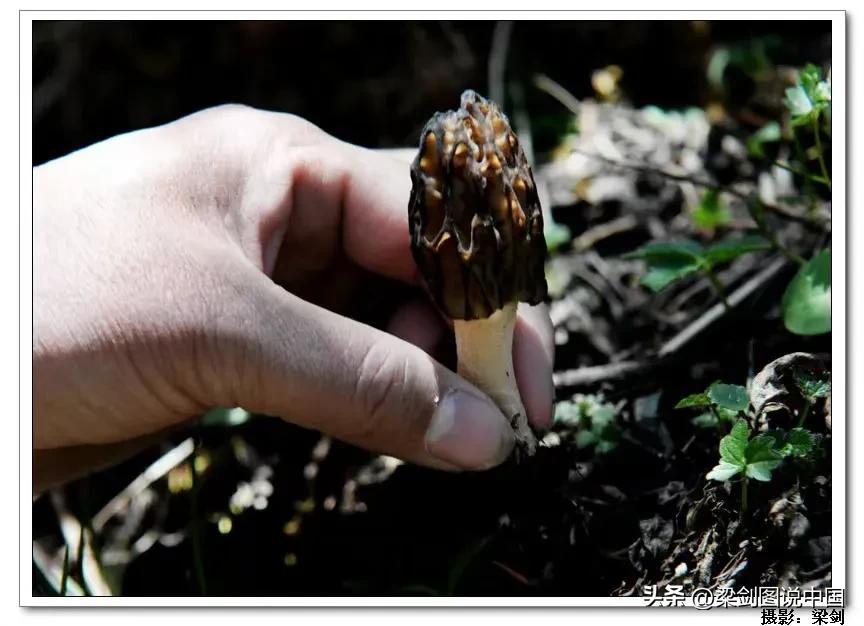 走进大美甘肃我的家，影像记录甘南藏族自治州，卓尼县民族文化。