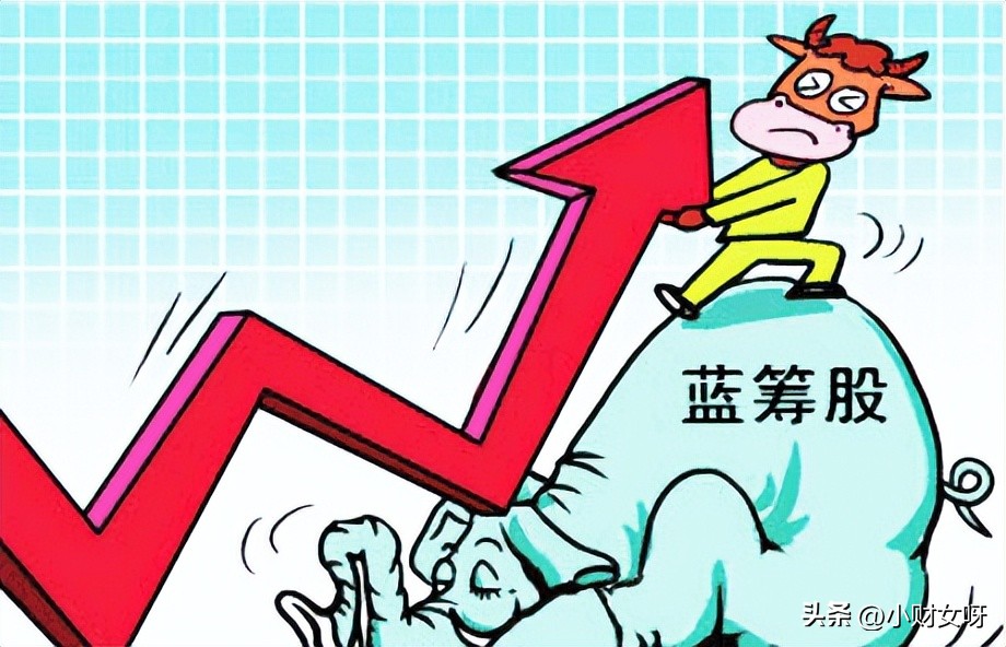 所谓的蓝筹股是些什么股票,好的蓝筹股是哪些