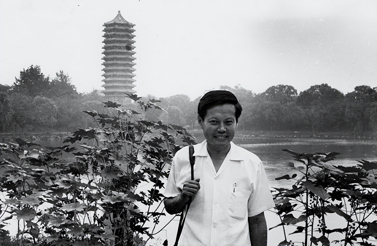 1976年毛主席溘然长逝,杨振宁含泪说了12个字,全世界为之感动