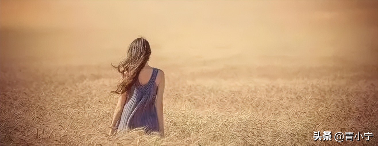 二婚的经历的视频,二婚的悲催