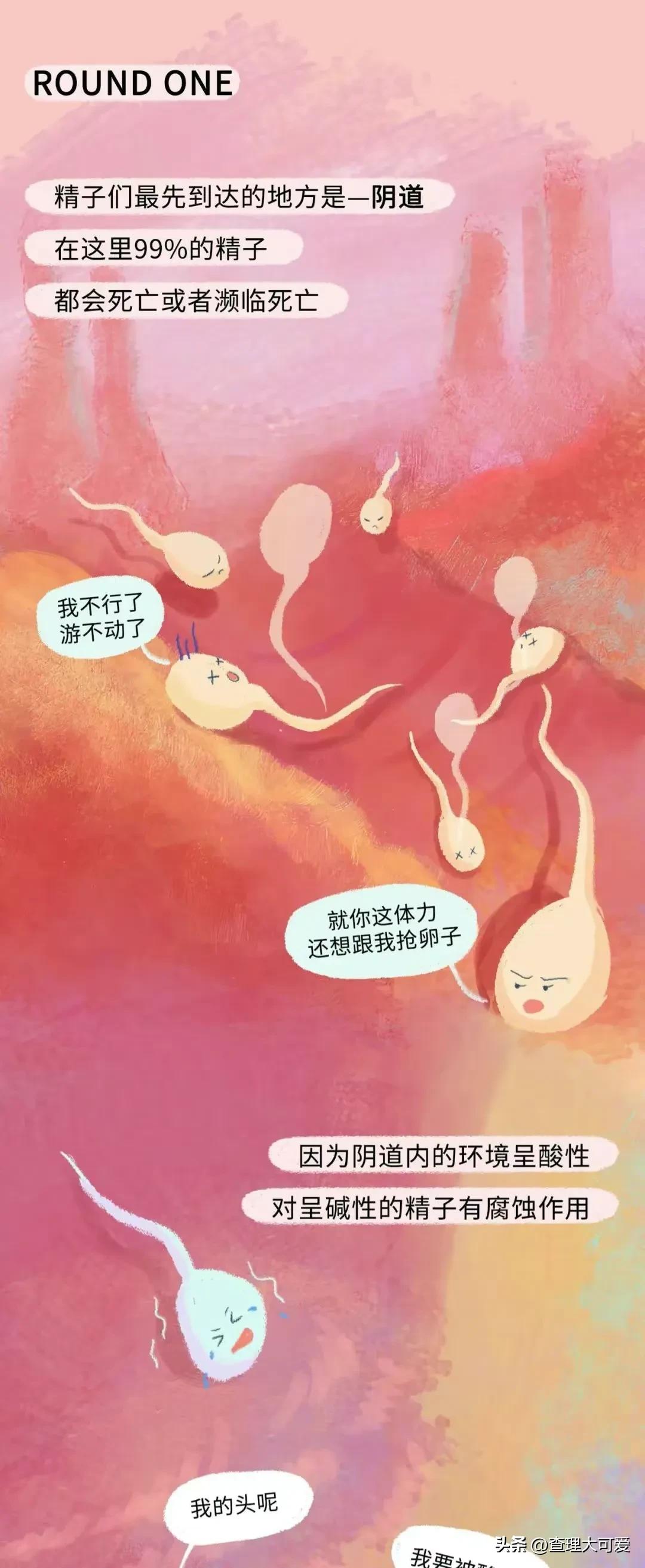 小蝌蚪找妈妈故事完整漫画,小蝌蚪漫画