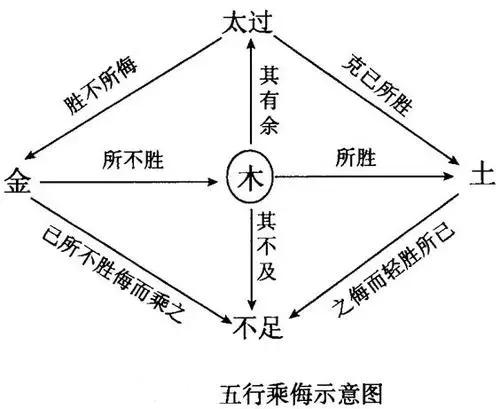 中医五行相生相克学说视频,中医学基础五行相克的正确顺序