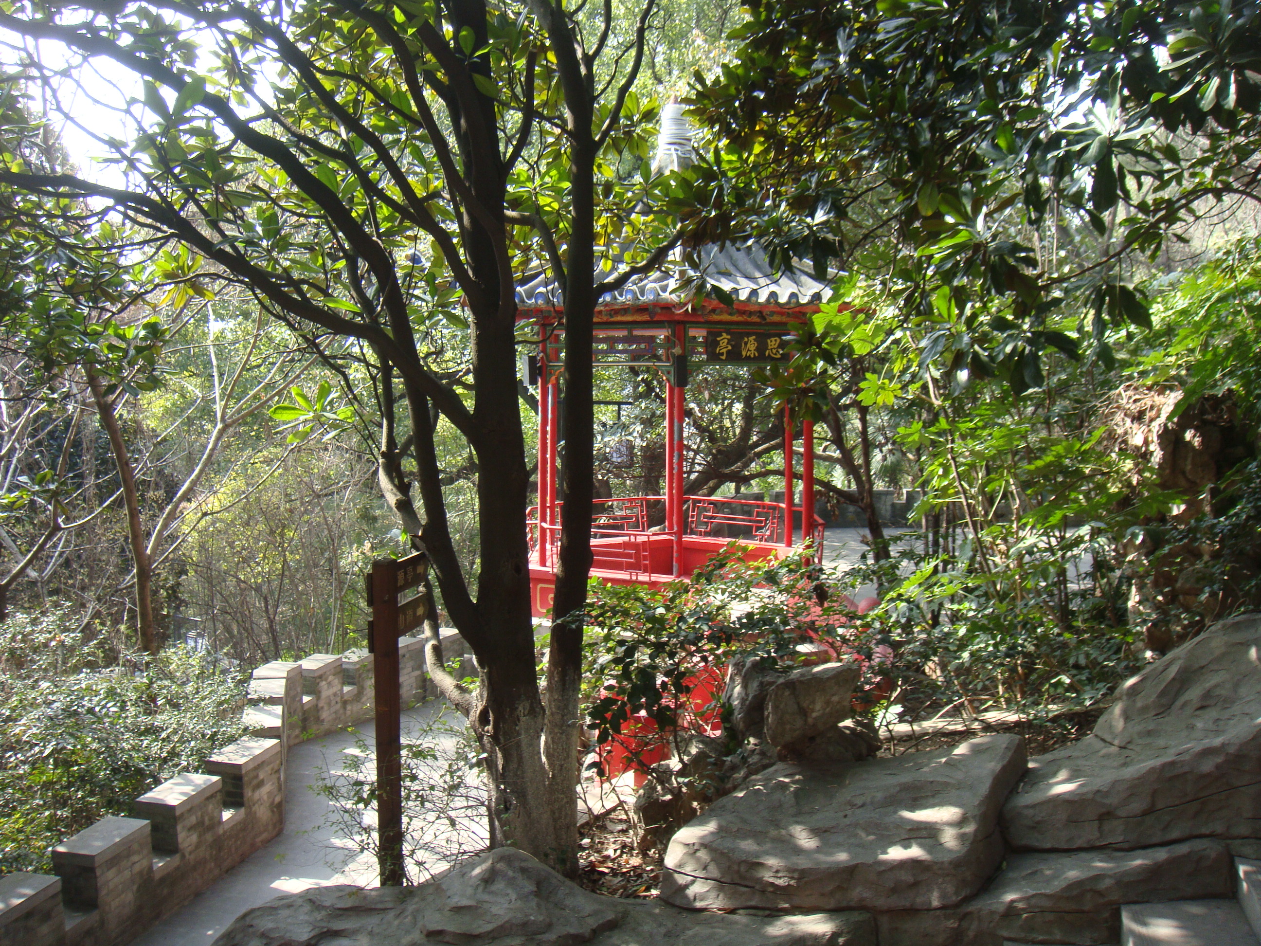 东山公园登顶看美景,东山公园景区游记