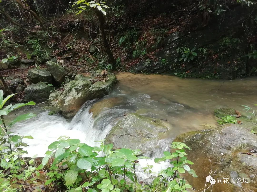 溯溪攀爬,溯溪徒步露营