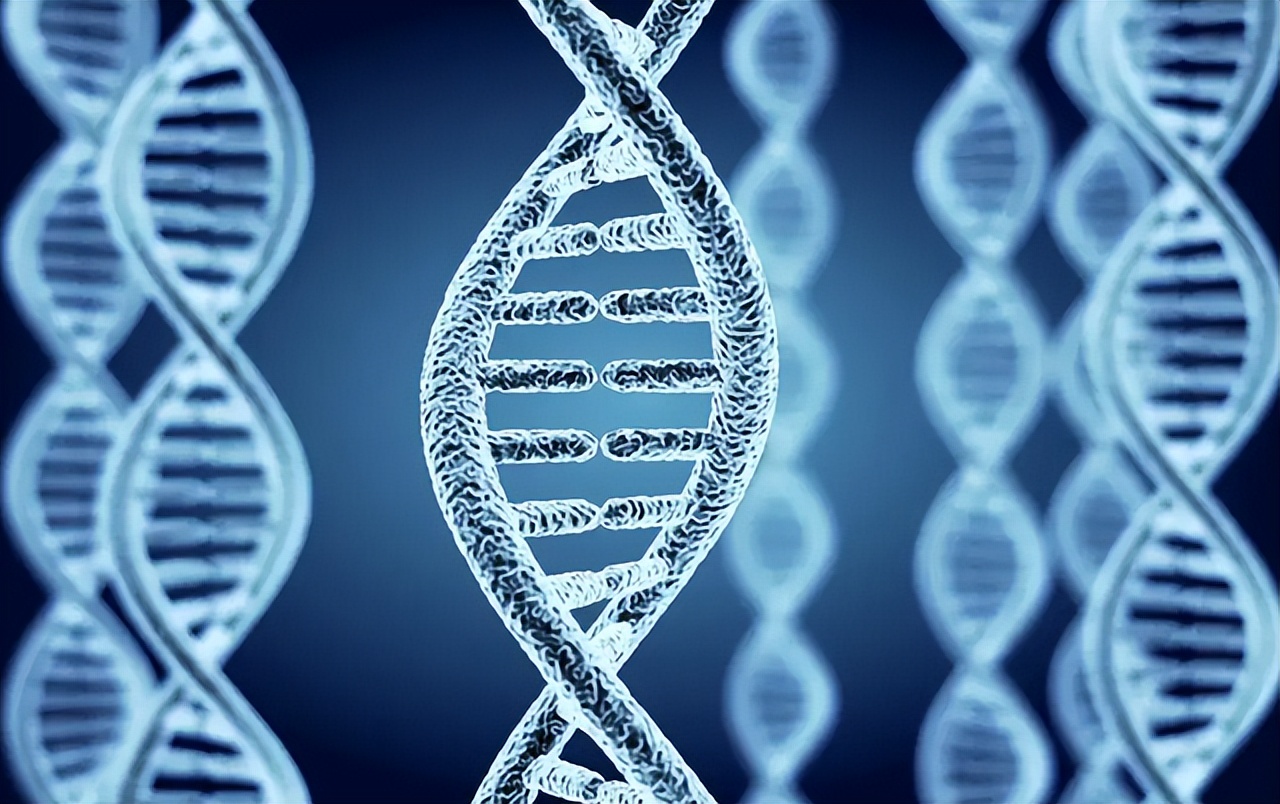 前额和头顶白发多怎么回事,右前额长白发代表什么