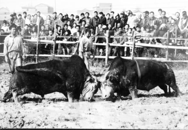 金华城老照片,浙江金华老视频