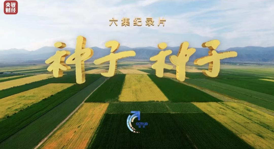 龙洋出题:种子种,种种种,4种读法,你能读出几种?