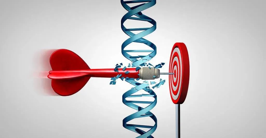 SAPHO患者中使用靶向IL-23/IL-17轴的新型生物制剂的研究数据