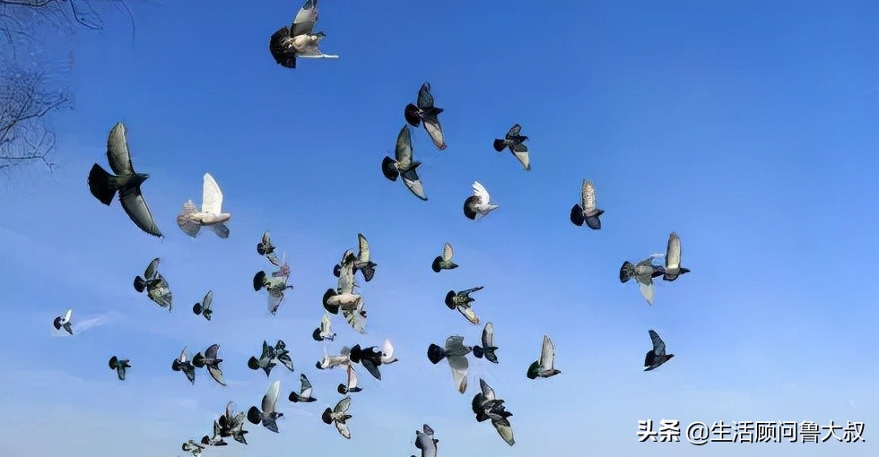 北京市的世界文化遗产有哪些,首批农业文化遗产