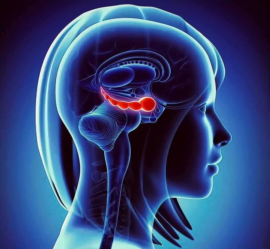 脑科学博士让孩子成为学霸很简单,脑科学博士教睡眠