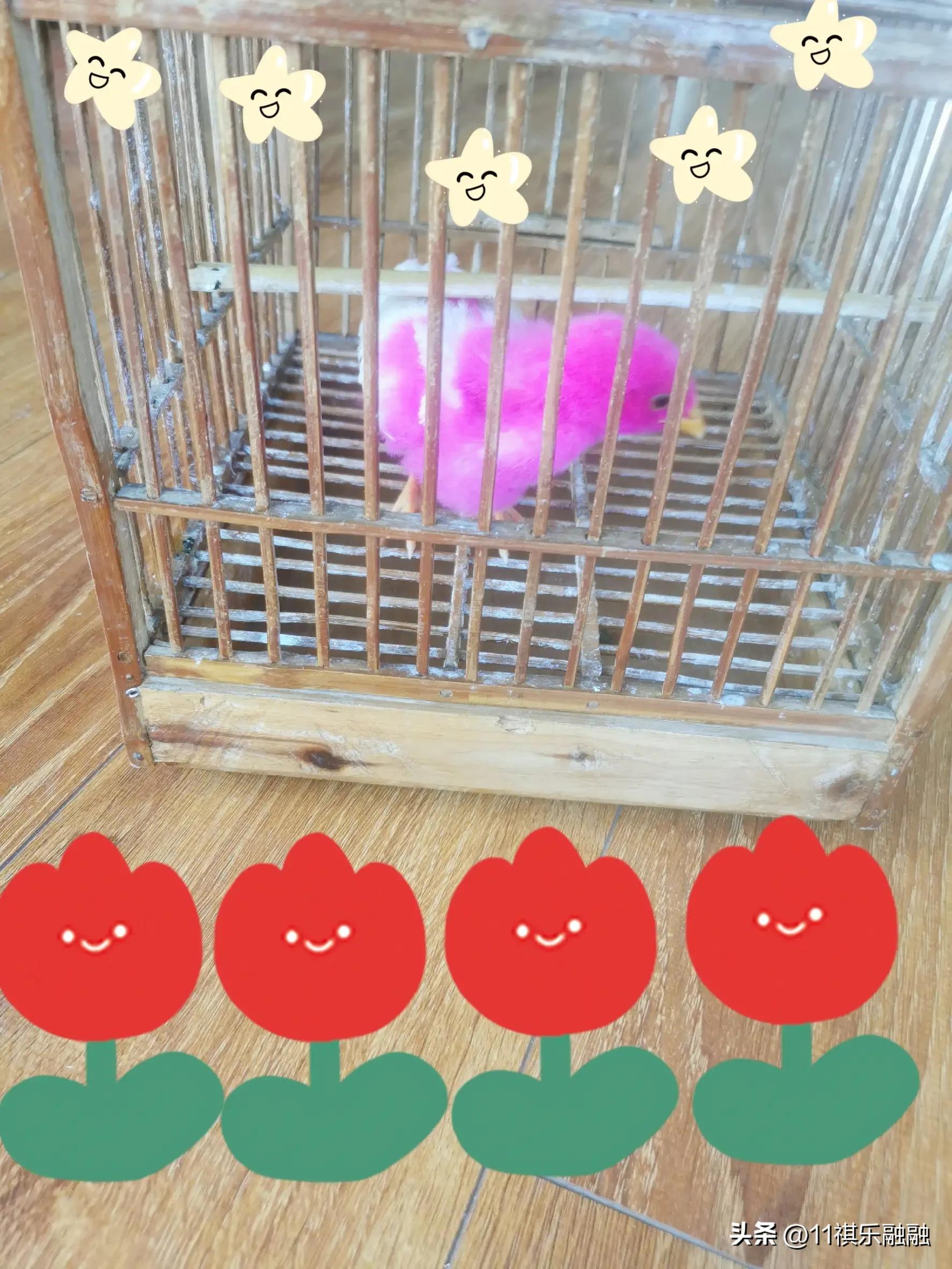 忙啊忙女声翻唱独唱完整版,忙啊忙原唱完整版歌词