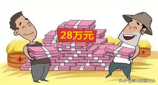 荒山种什么树木经济效益好,荒山种植什么最赚钱