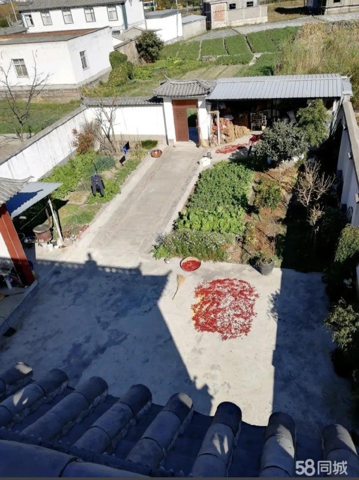 大理登龙村村民出租房,大理登龙村市场租房