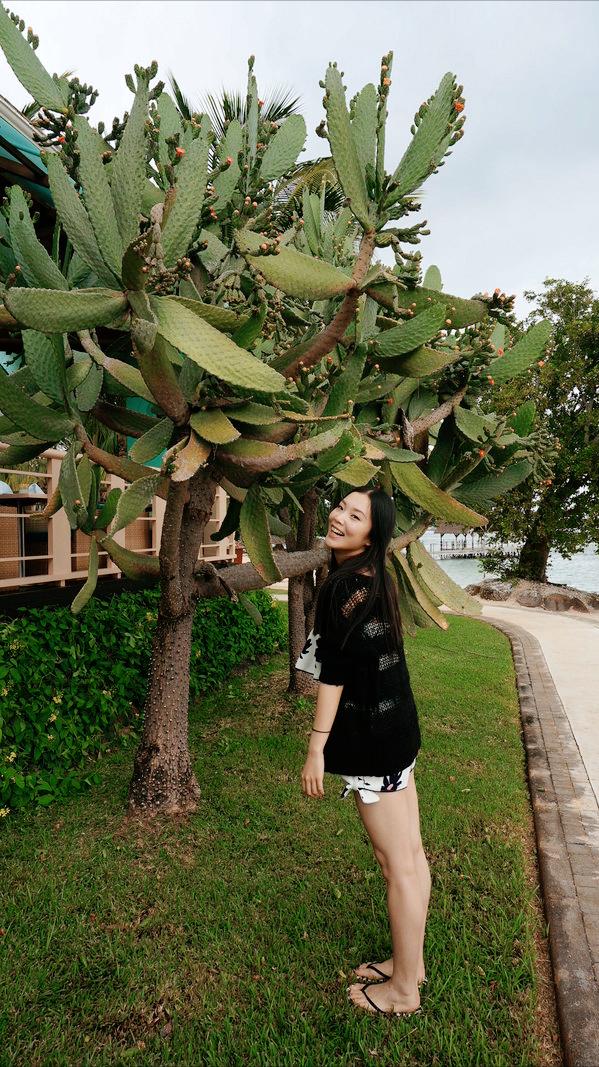 仙人掌养了20多年,最丰产的仙人掌