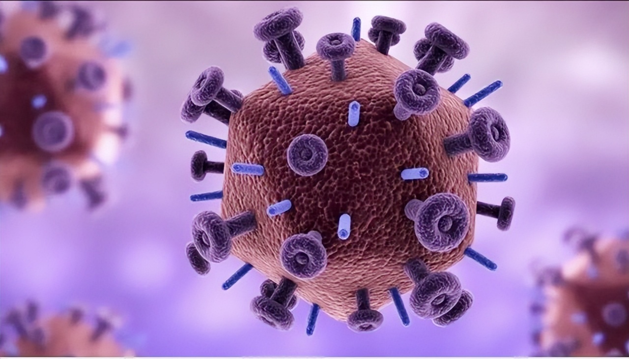 澳大利亚野兔泛滥成灾体重近百斤,澳大利亚野兔成灾野兔上百斤