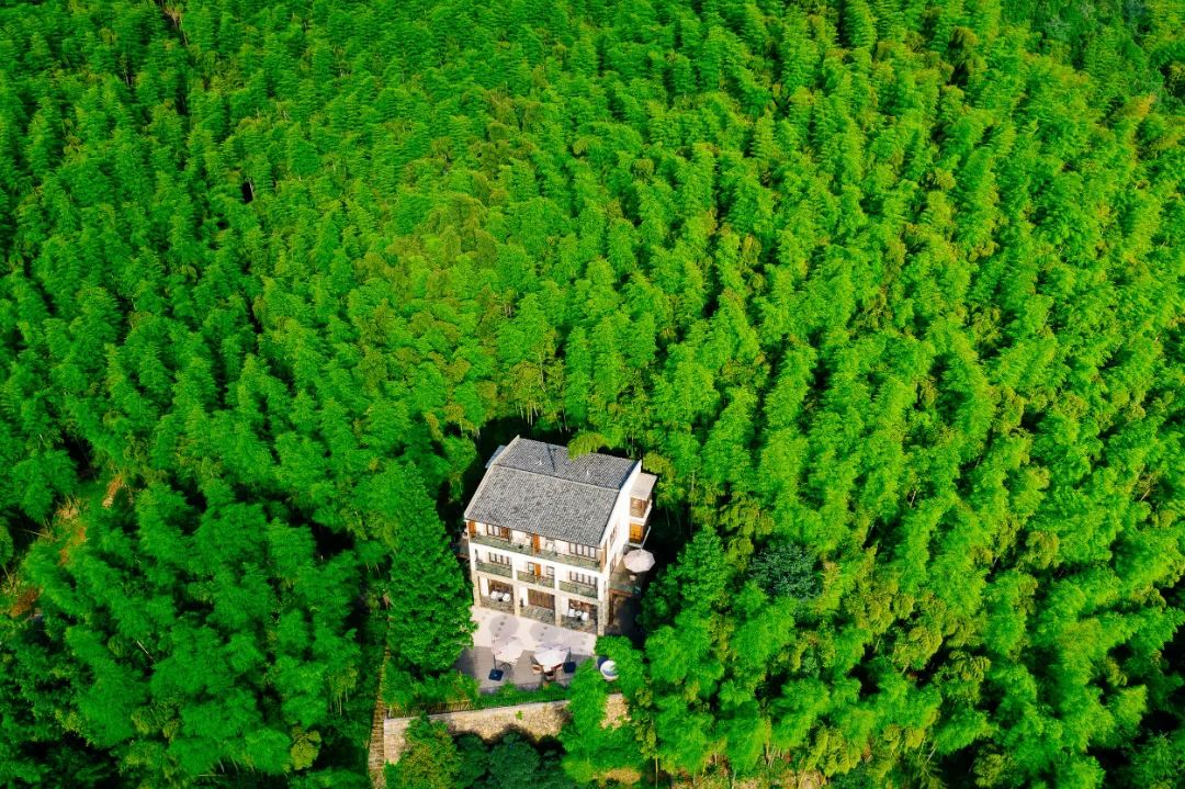 莫干山三天两晚绝美民宿,藏在莫干山的这家民宿真的美翻了