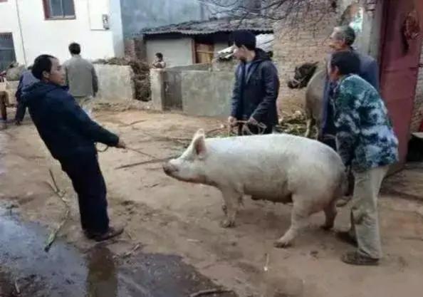 80年代为了生计做什么工作,过去很吃香现在无人问津的工作