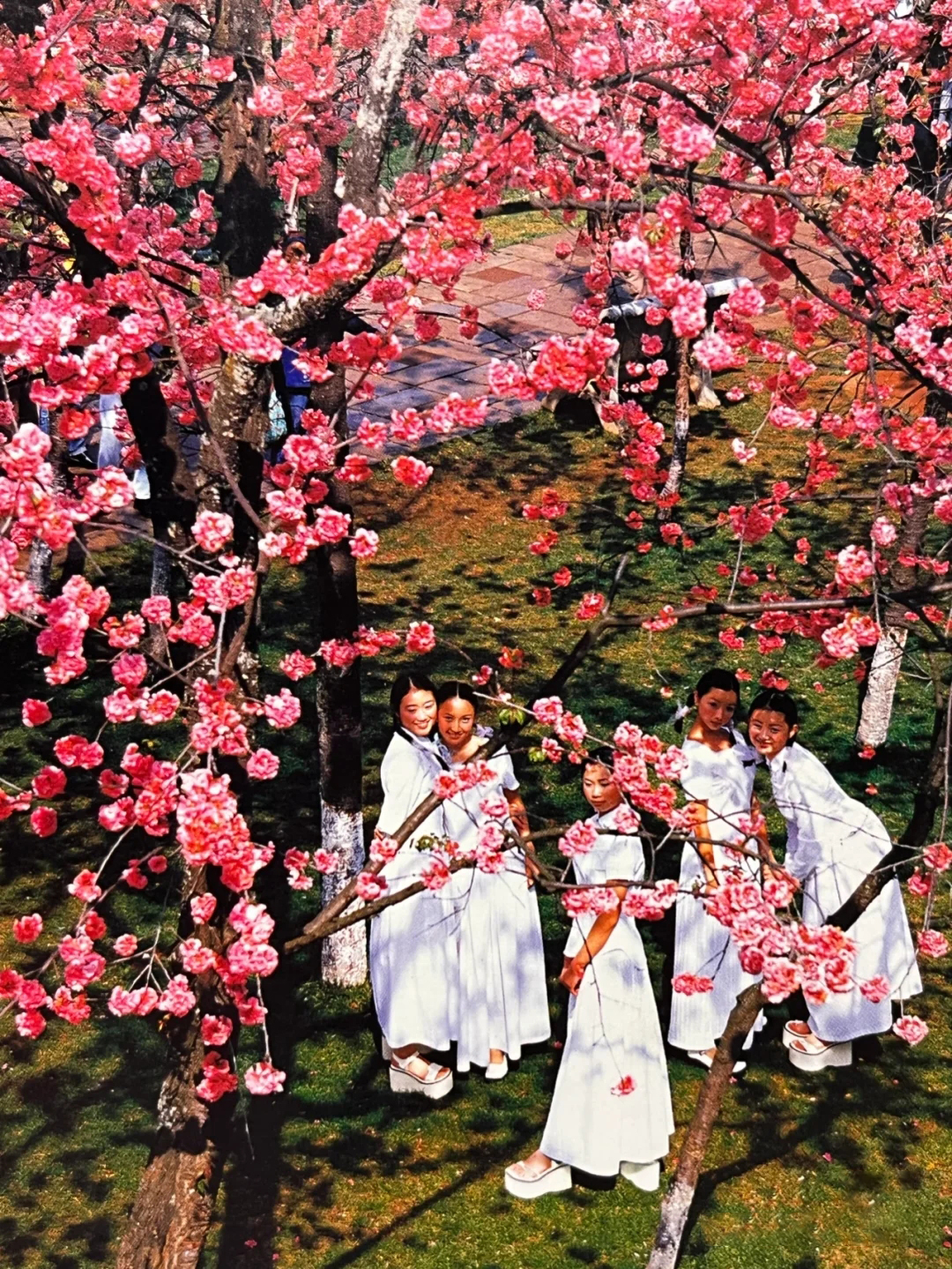 轻奢淑女屋,淑女屋以前的风格