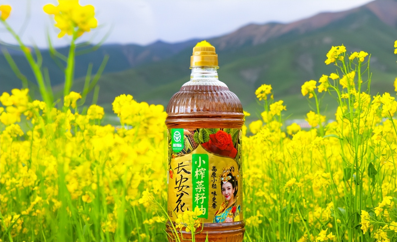 菜籽油好坏怎么看标准号,菜籽油品质等级如何分