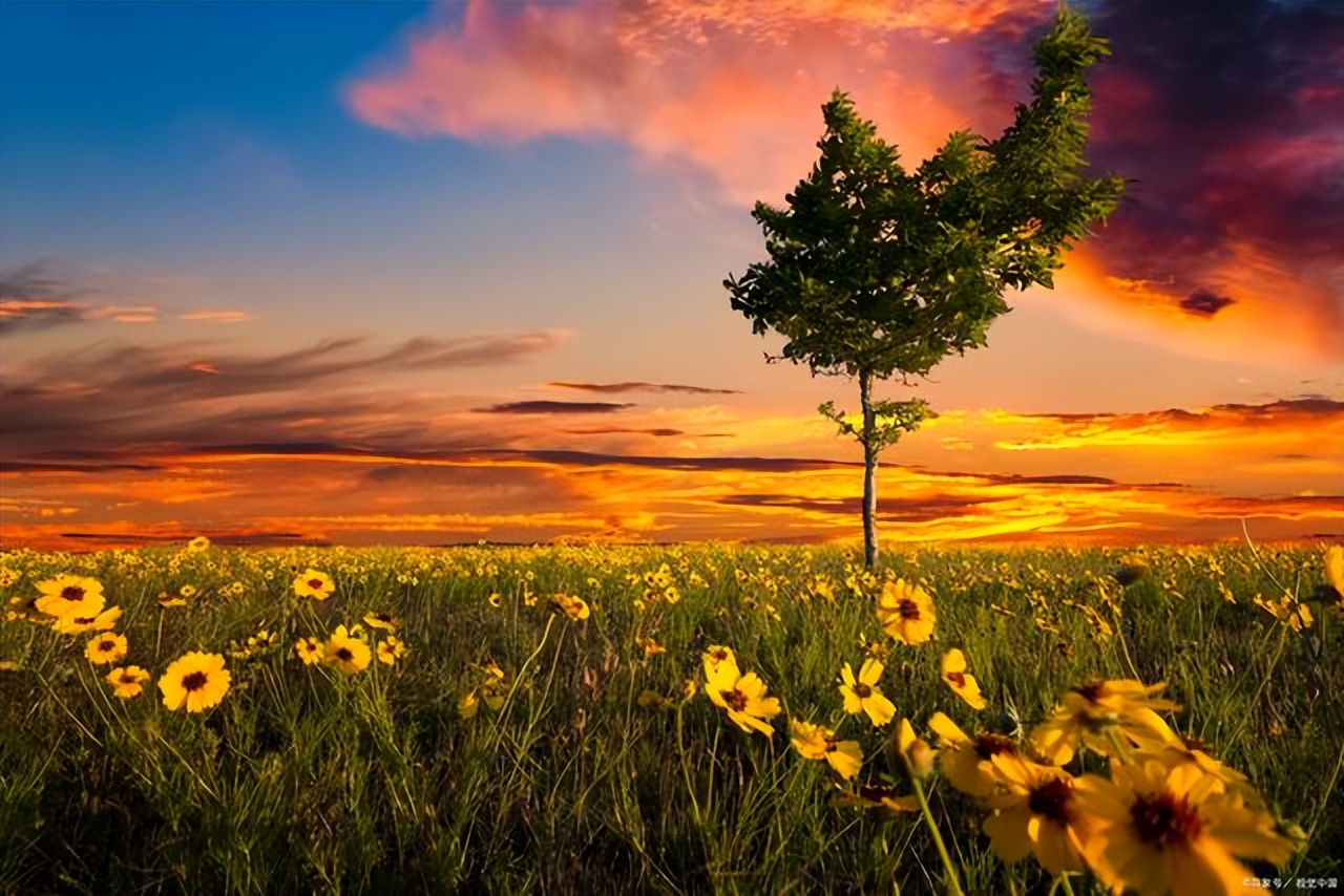 早晨高情商早安励志语,励志早安语录正能量文案短句