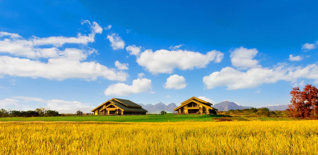 近乡情怯，归来仍是少年！