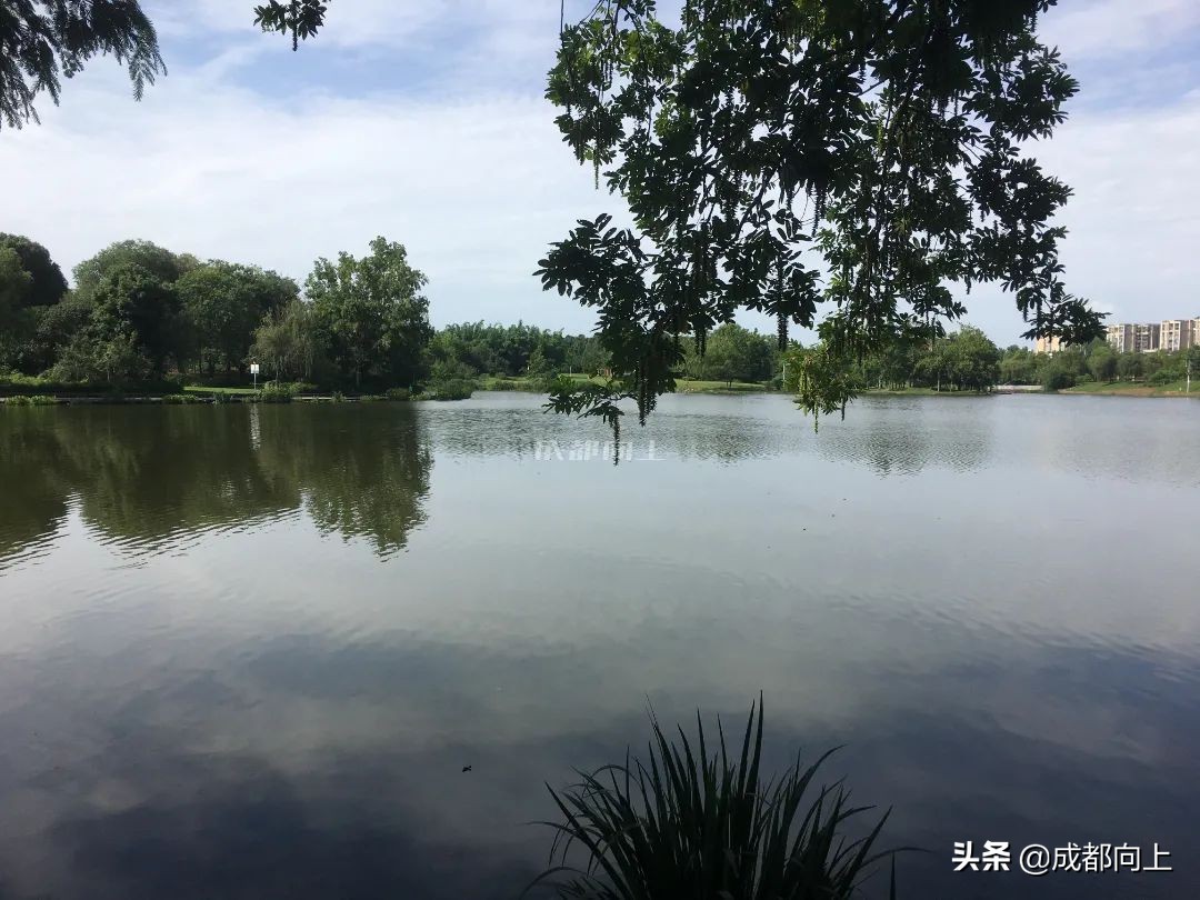 被吹爆的成都国际城南，居然没有拿得出手的体育场馆？