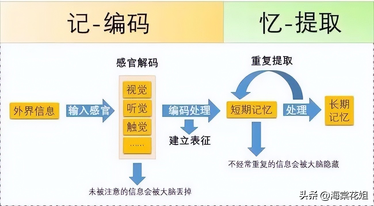 成功记忆黄金法则,高效记忆法管理学
