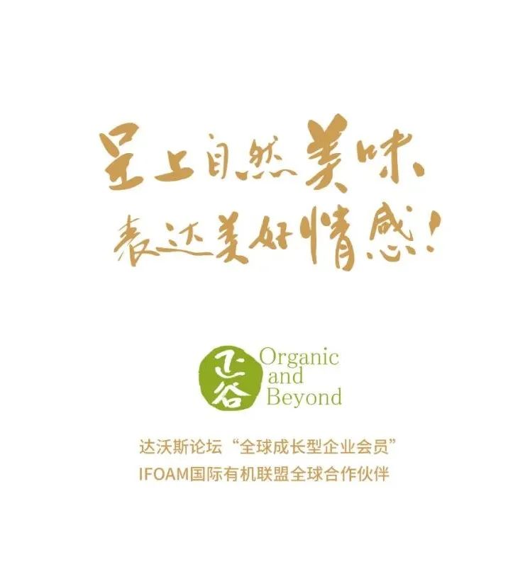 橄榄时光特级初榨橄榄油500毫升,欧榄特级初榨橄榄油