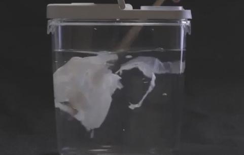 马桶可以冲走厕纸吗,厕纸可以直接丢入马桶冲掉吗