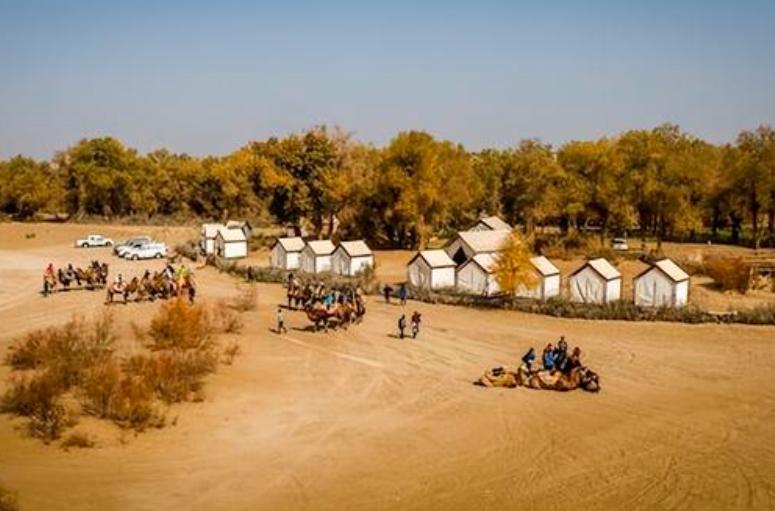 中国第一大村落的位置,中国广东最大自然村