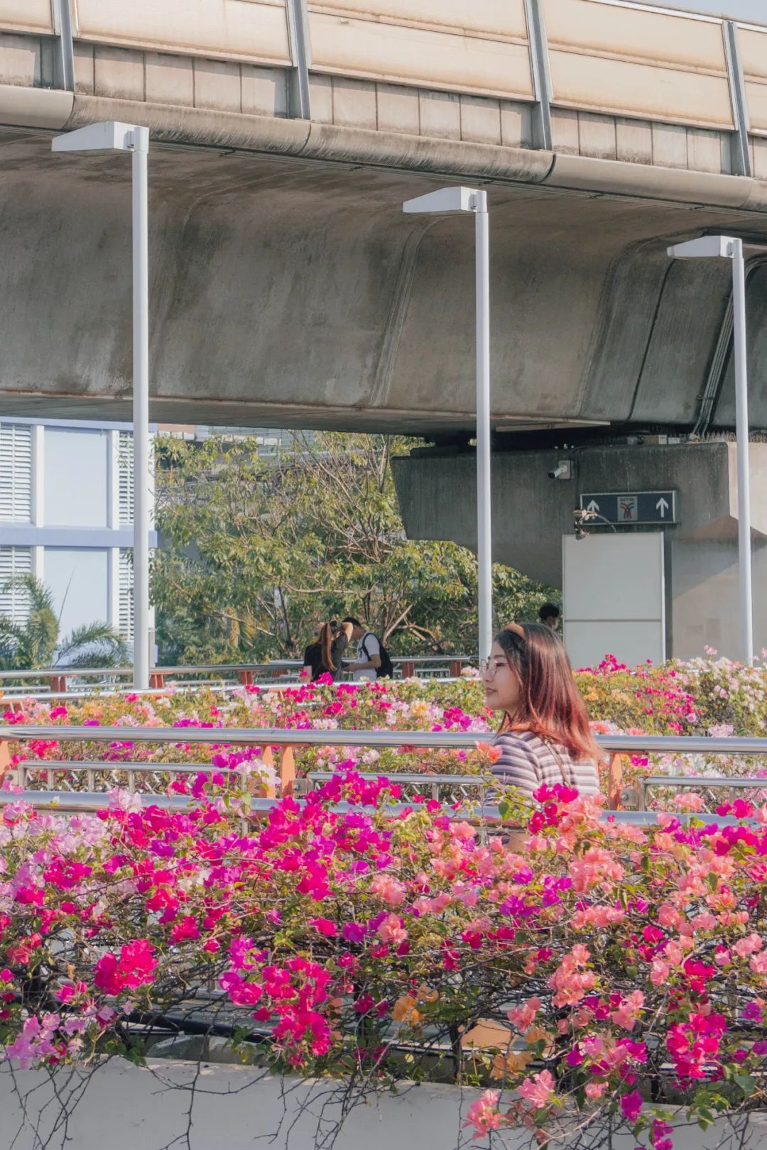 大数据推给想去泰国的朋友，万字长文玩转曼谷芭提雅