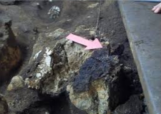 火与文明推进：告别对黑夜的恐惧