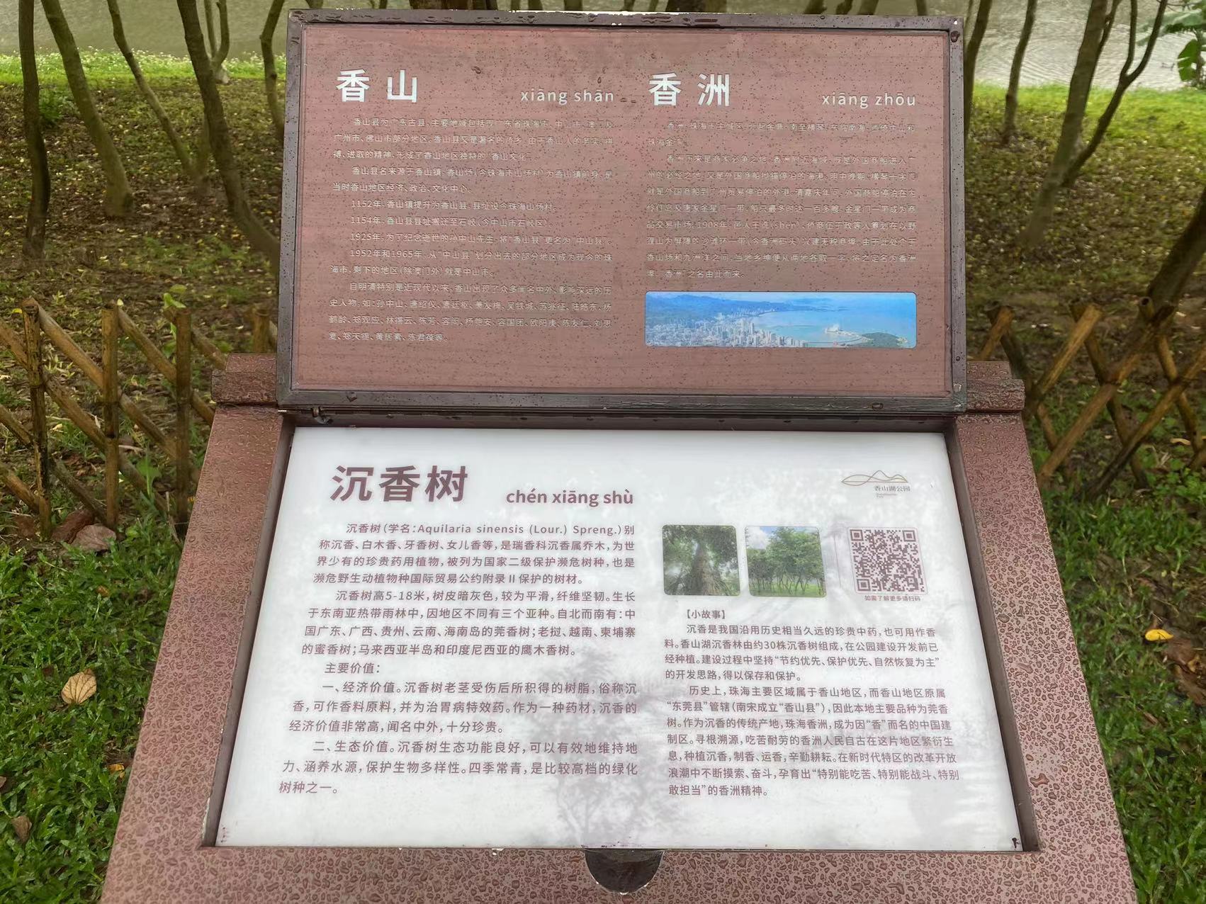 珠海人气最旺的公园,珠海市人爱去的公园推荐