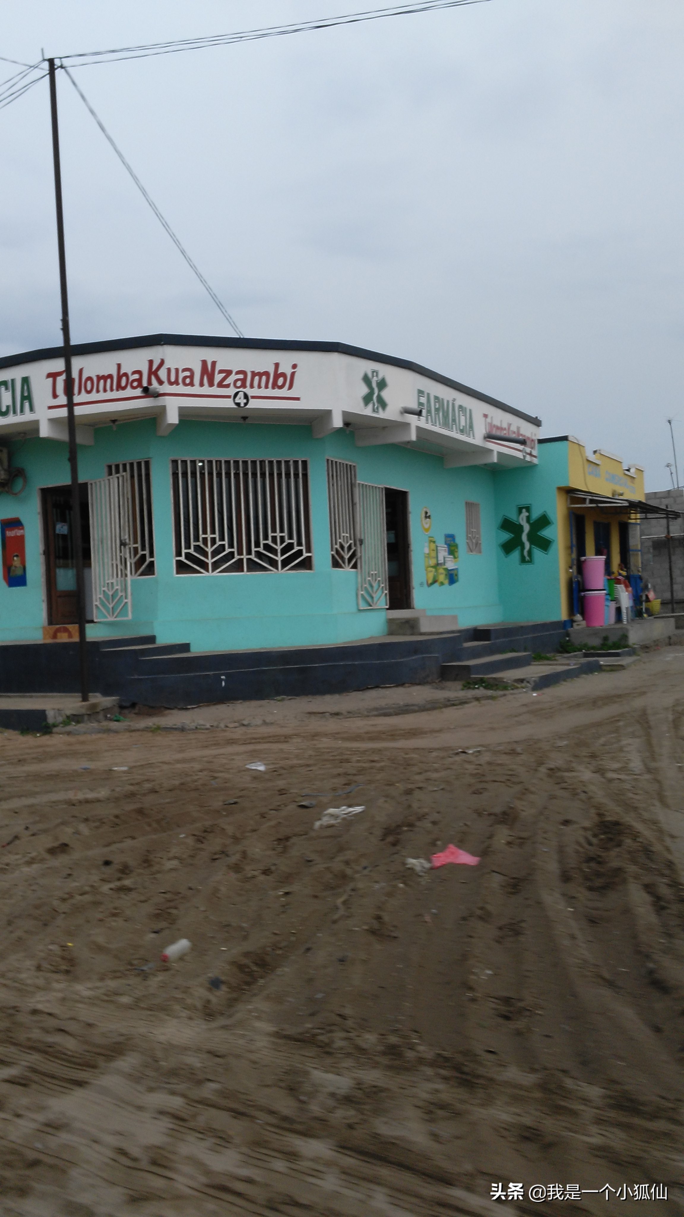 我在非洲安哥拉采辣木籽（我在安哥拉的日子313）