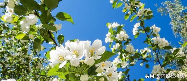 社群运营方案ppt免费版,让人惊艳的社群运营怎么做