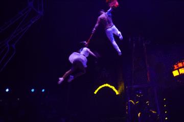 新节目表演,新综艺震撼来袭