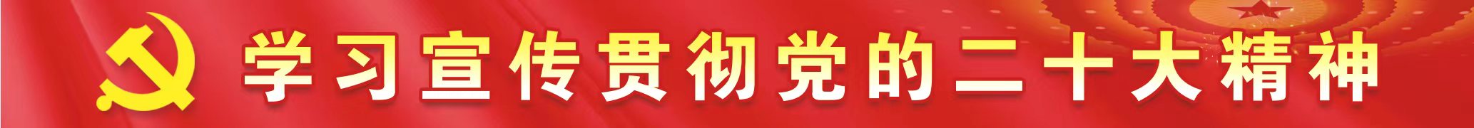 新时代公安民警忠诚向党,新时代公安队伍良好形象