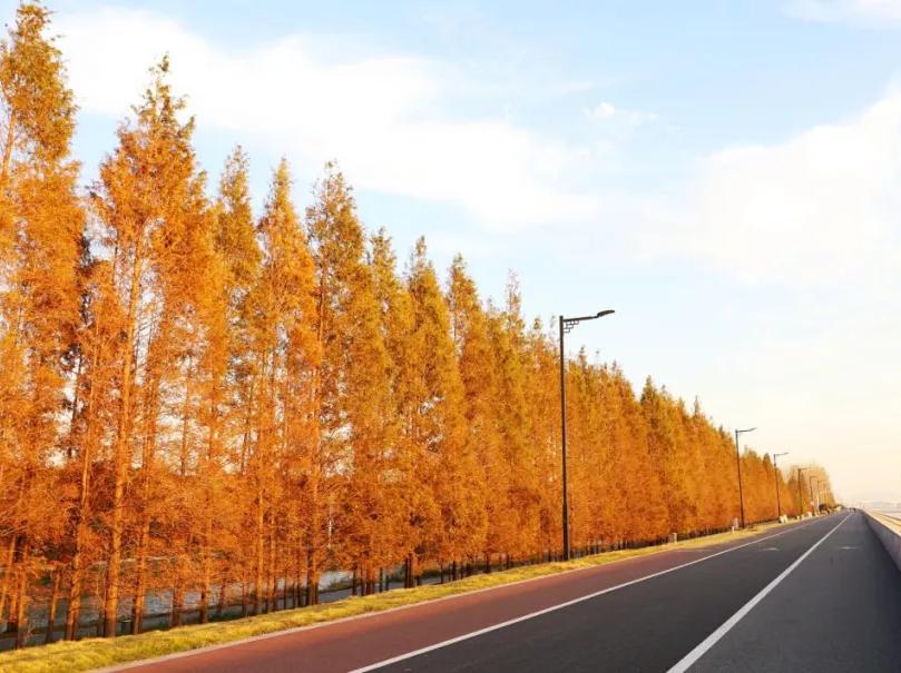 杭州西湖微信头像图片,杭州风景图片头像