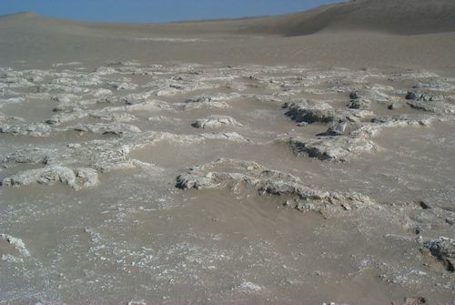 为什么古代的盐非常重要,古代盐那么贵为什么不烧海水