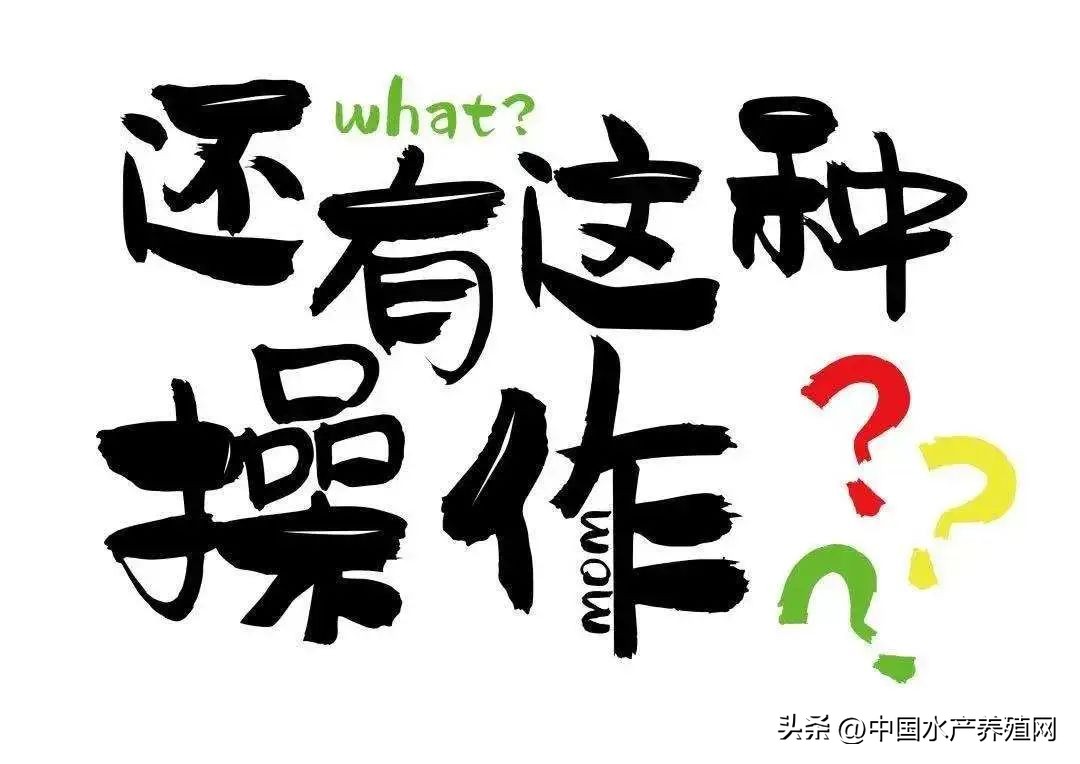 馅饼还是陷阱?知名品牌渔药半价就能买到?打款却收不到货?