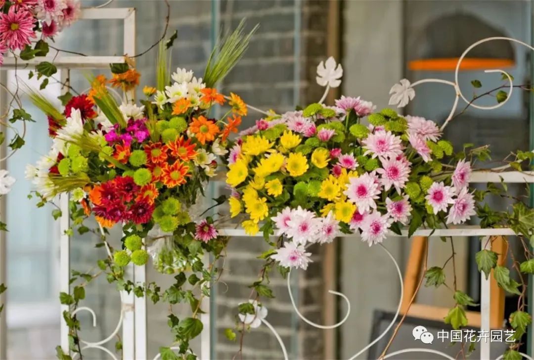 中国菊花品种现状,我国菊花行业近几年市场规模分析