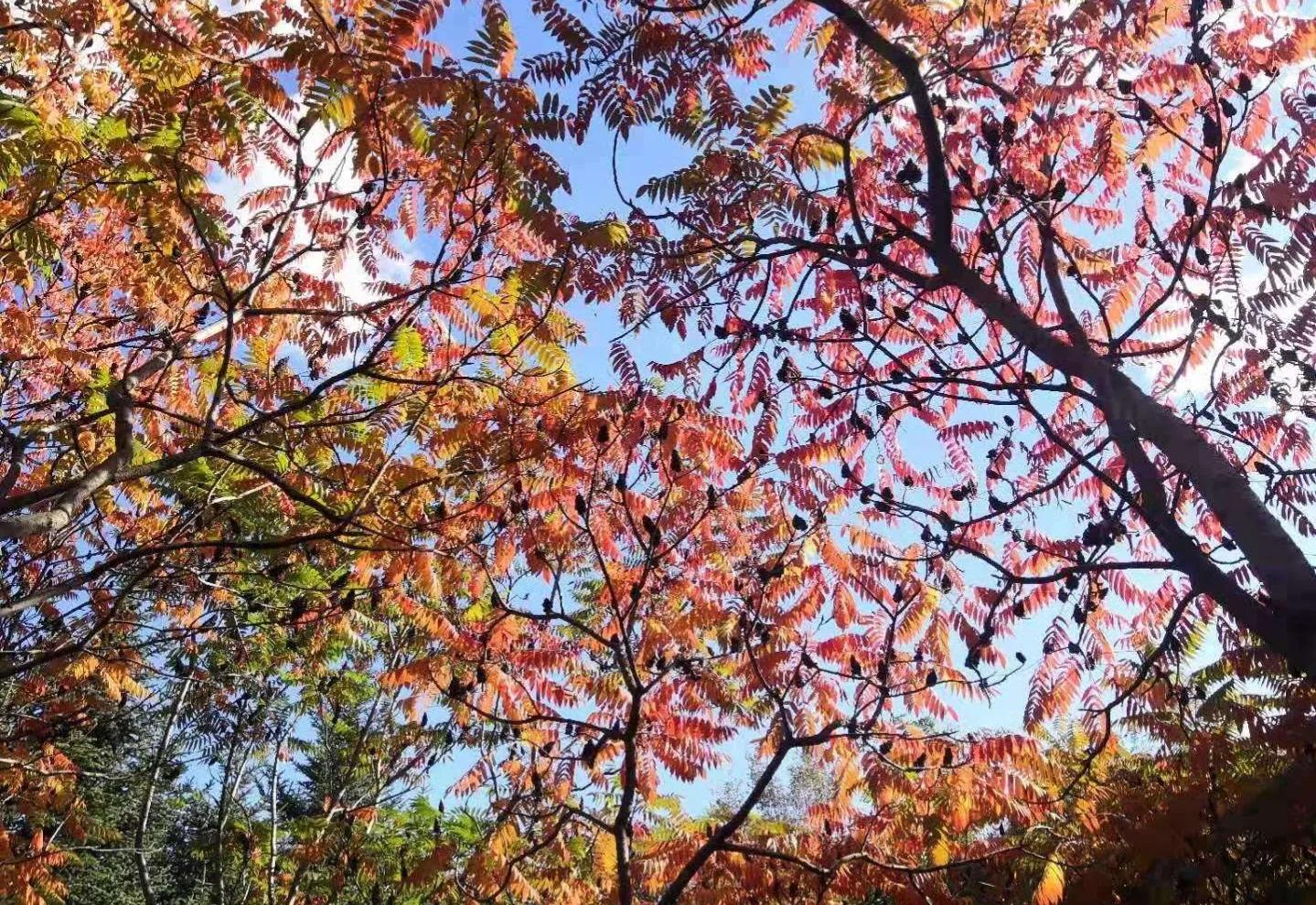 人生路上学会取舍别贪小便宜,做事切忌好高骛远人生感悟