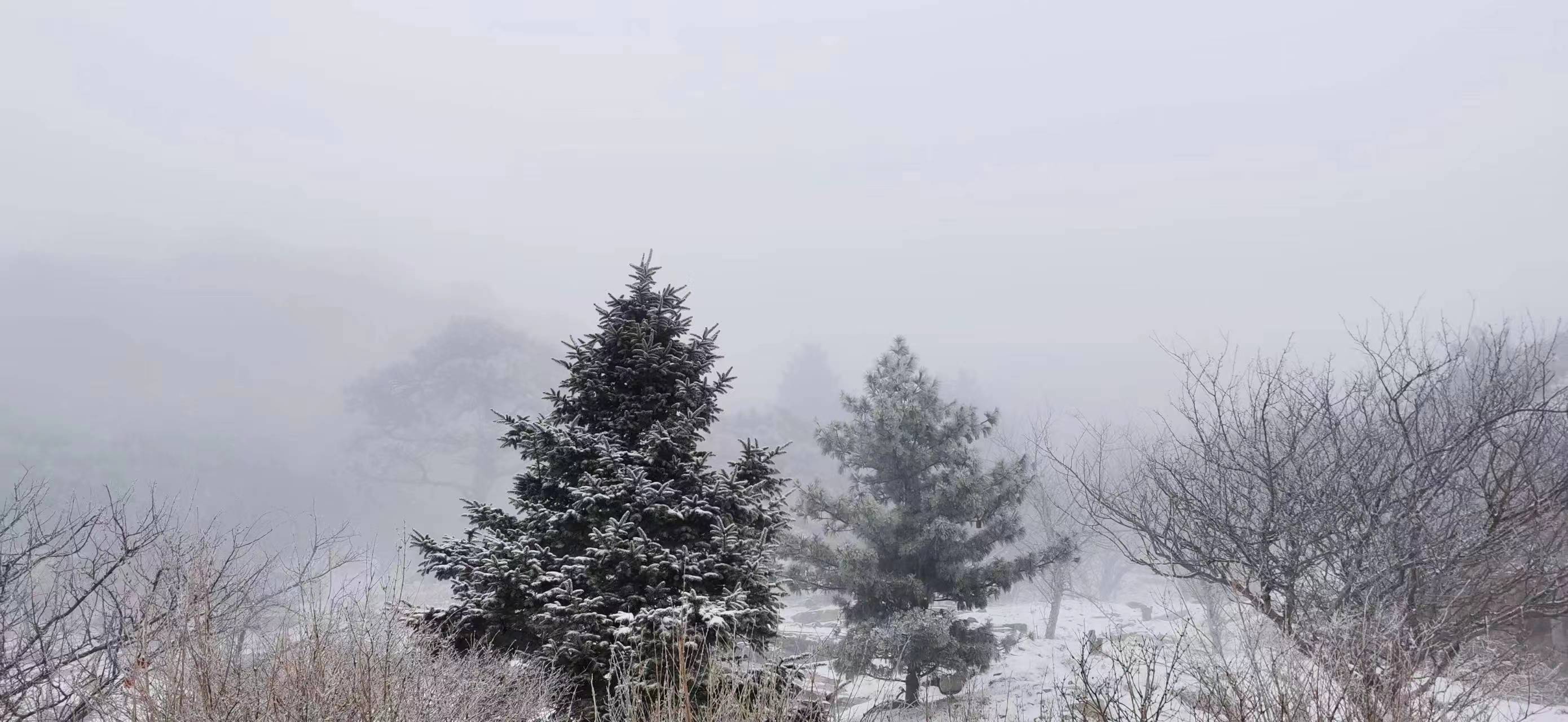 济南的春天、泰山的冬雪，以及曲阜的马车（2）