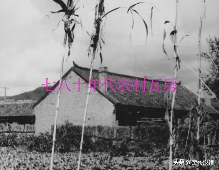 父亲的家（六）父（母）亲节致敬我的父（母）亲！