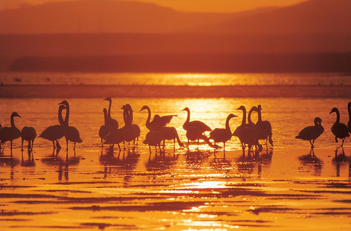 中国最受欢迎的十大端游,中国最受欢迎自驾游318