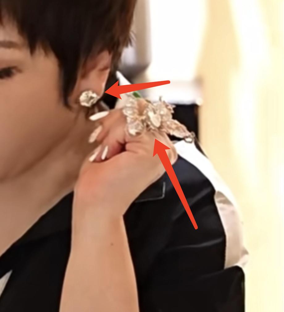 向太的中国之星珠宝,向太陈岚珠宝