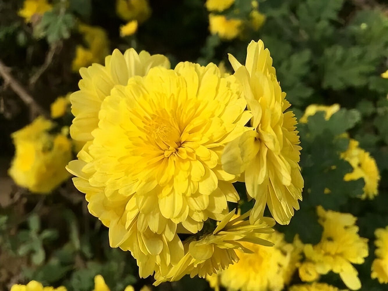 男人如何不变成油腻大叔,男人不想老一点怎么做好