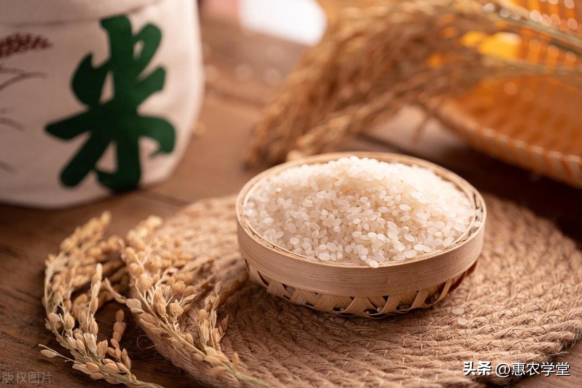 粮油店一袋50斤大米利润,大米一袋利润多少