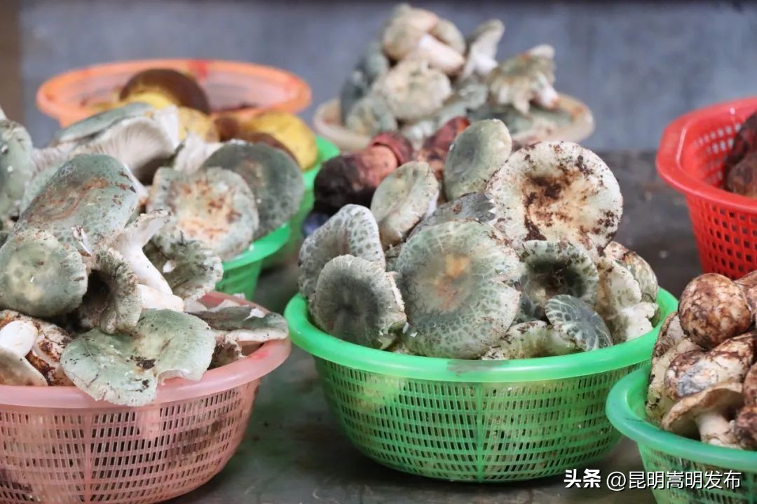 孩子开车撞人去自首,儿子开车撞人最后自首