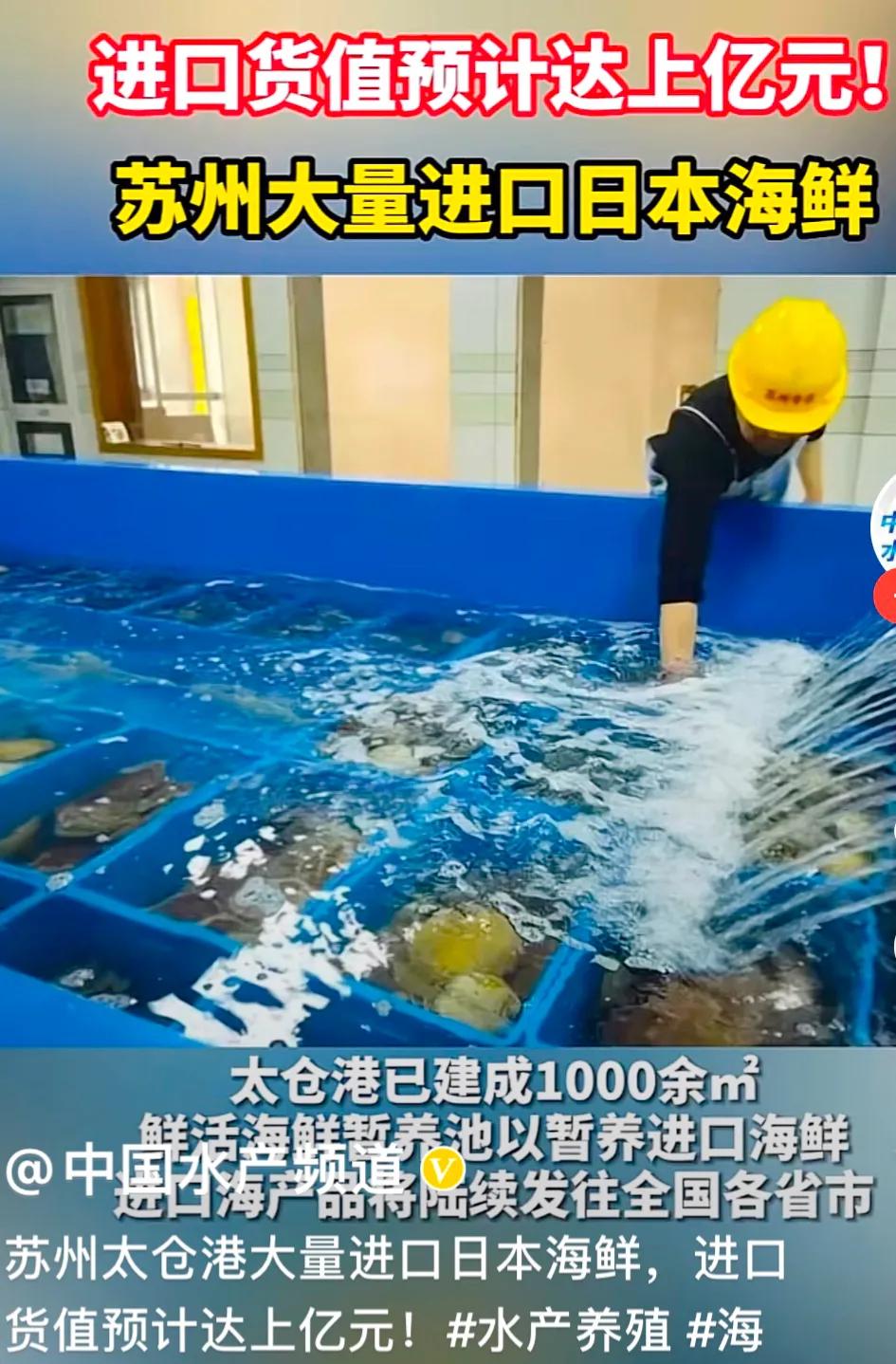 江苏进口日本核污染产品处理结果,进口日本核污染海鲜的人怎么处理